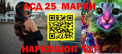 амф Дубна