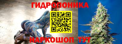 амф Дубна