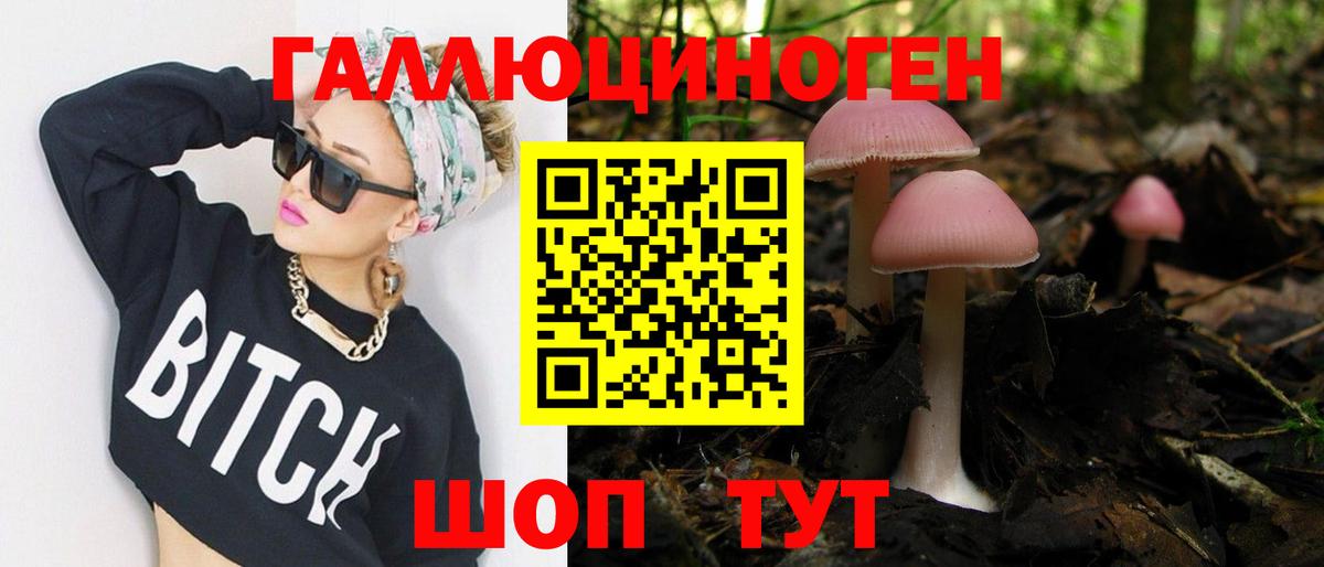 Дивногорск  Псилоцибиновые грибы мухоморы  Вход с VPN 