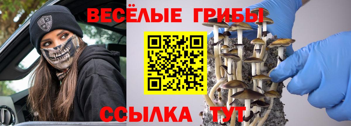 Галлюциногенные грибы GOLDEN TEACHER Дивногорск
